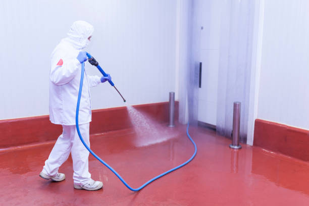 Best Spring Cleaning  in Bright, IN